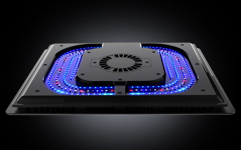 Maxspect Ethereal Infinite E8-230
