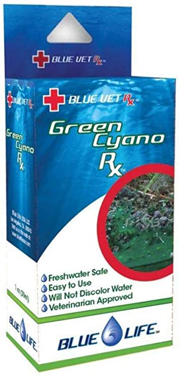 Blue Life Green Cyano Rx