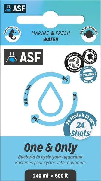 ASF One & Only 24 x 10 ml Shots