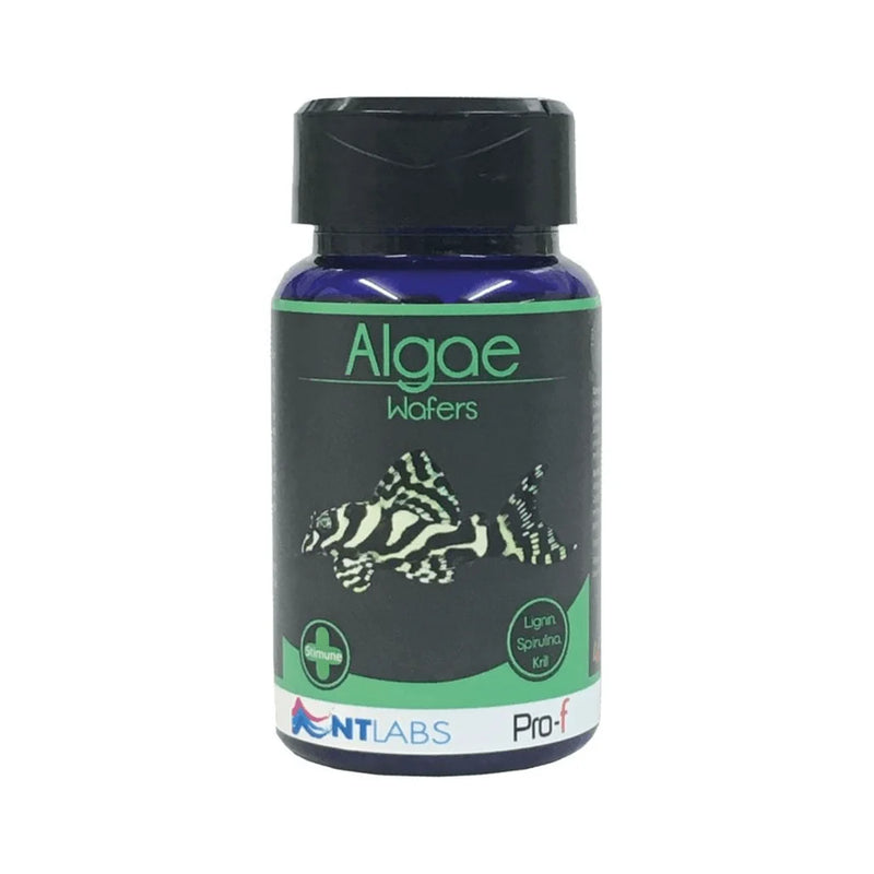 NT Labs Pro-F Algae Wafers 40g