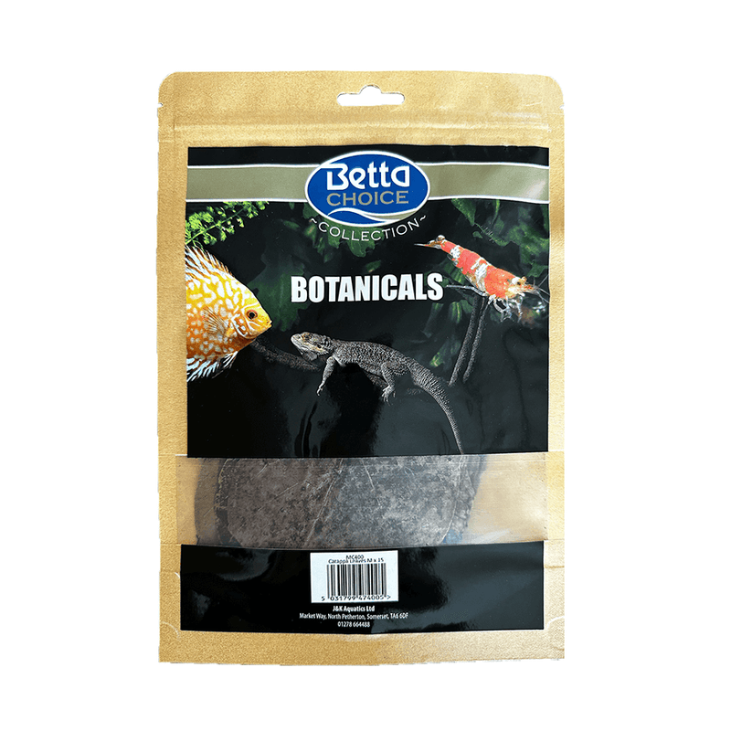 Betta Choice Catappa Leaves