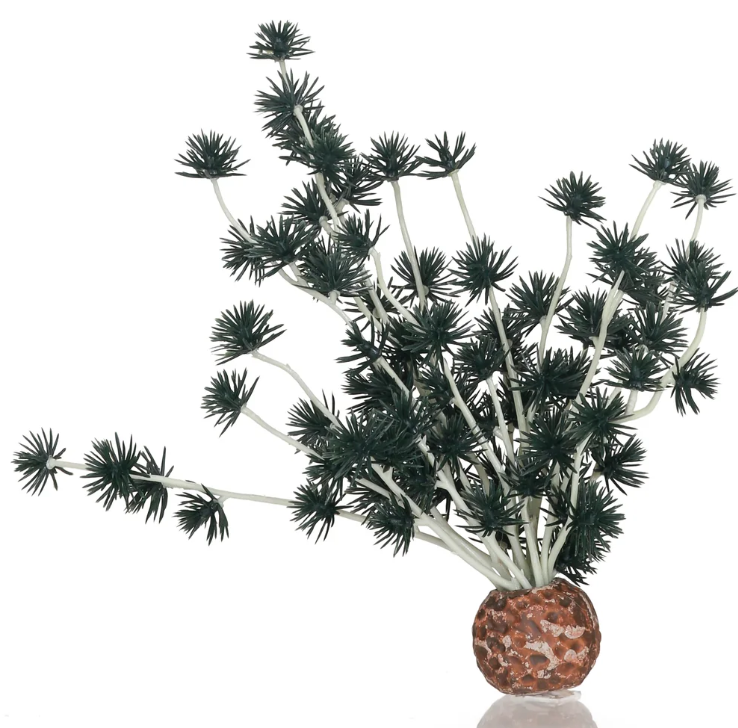 biOrb Bonsai Ball