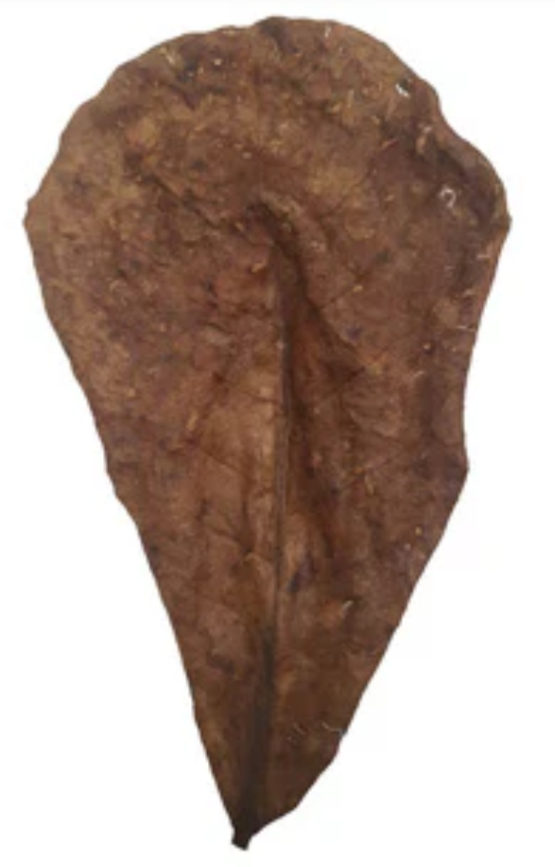 Nature4pets Catappa Leaves M