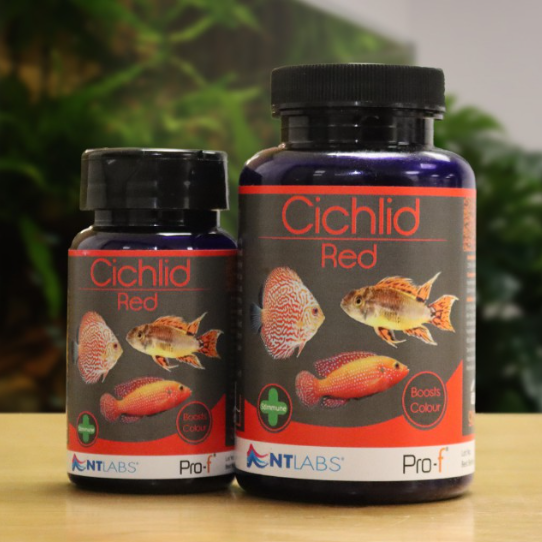 NT Labs Pro-F Cichlid Red 48