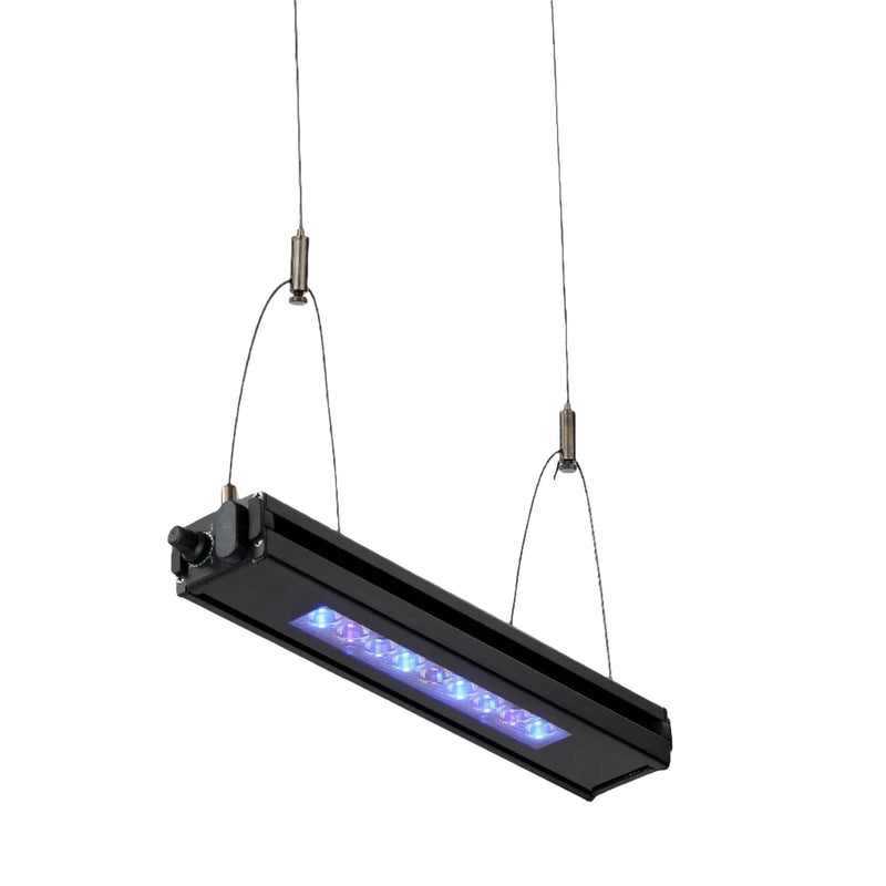 ReefBreeder Meridian Edge