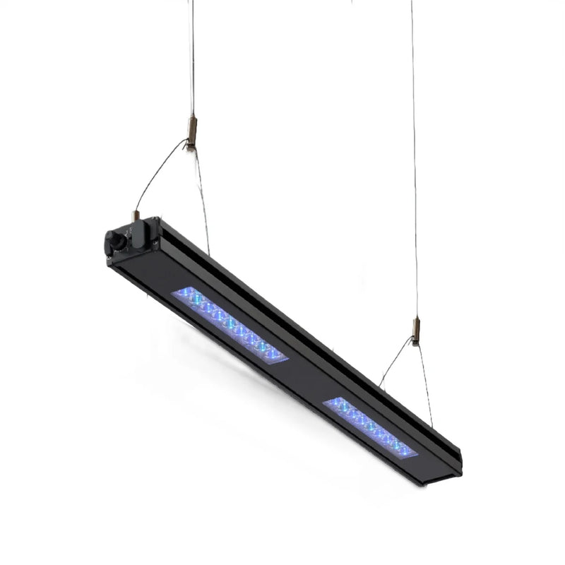 ReefBreeder Meridian Edge