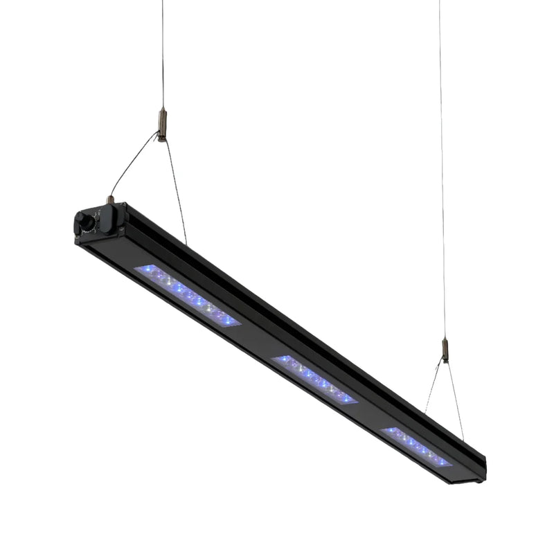 ReefBreeder Meridian Edge