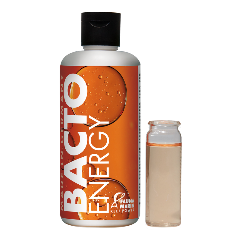 Fauna Marin Bacto Energy