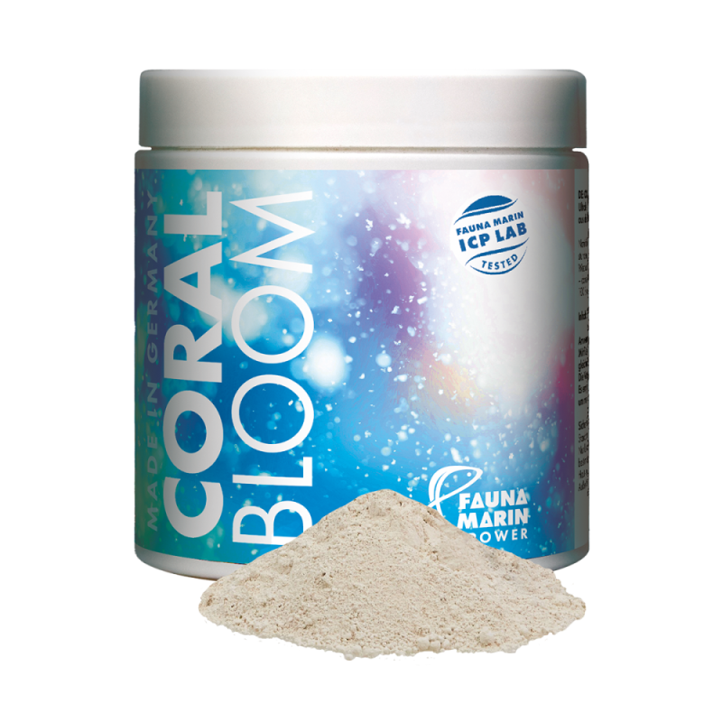 Fauna Marin Coral Bloom