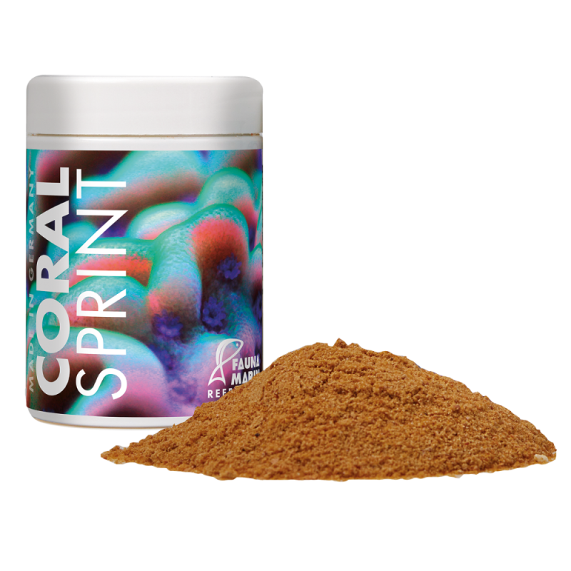 Fauna Marin Coral Sprint