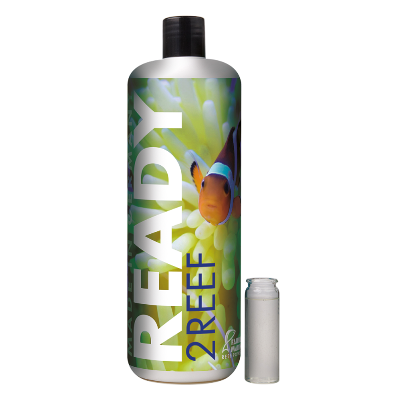Fauna Marin Ready2Reef