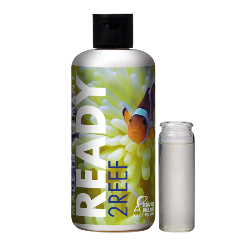 Fauna Marin Ready2Reef