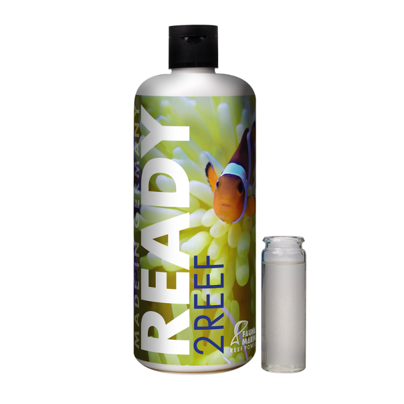 Fauna Marin Ready2Reef