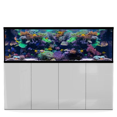 D-D Aqua-Pro Reef Aquarium 2100