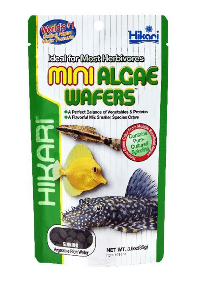 Hikari Mini Algae Wafers