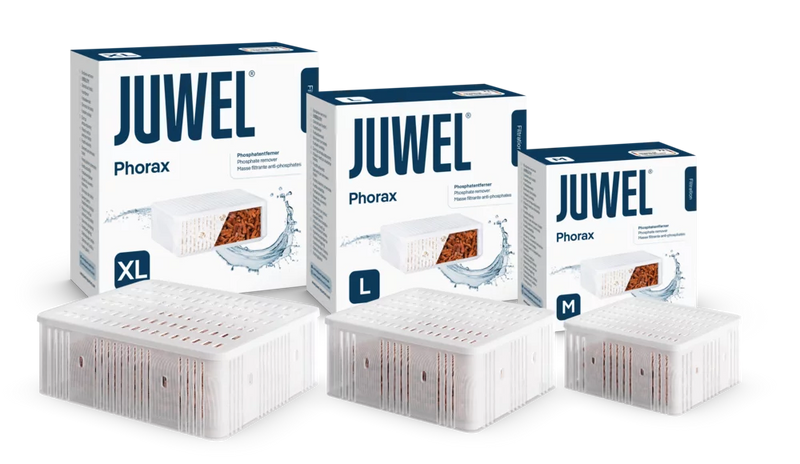 Juwel Phorax