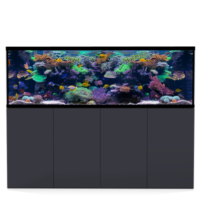 D-D Aqua-Pro Reef Aquarium 2100