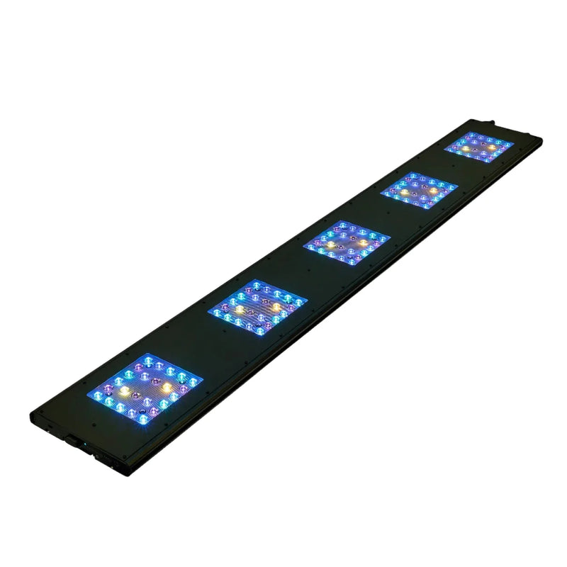ReefBreeder Meridian Shallow Reef