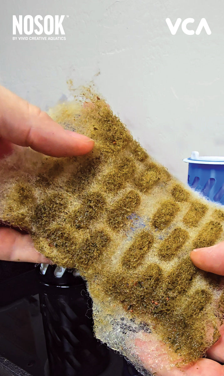 VCA NOSOK Filter Sock Replacement