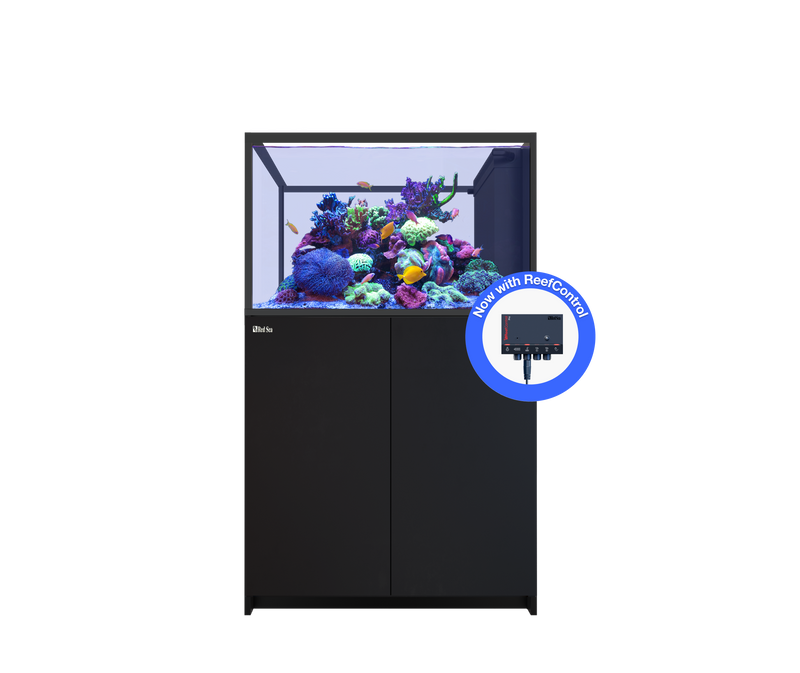 Red Sea REEFER Peninsula 350 G3+