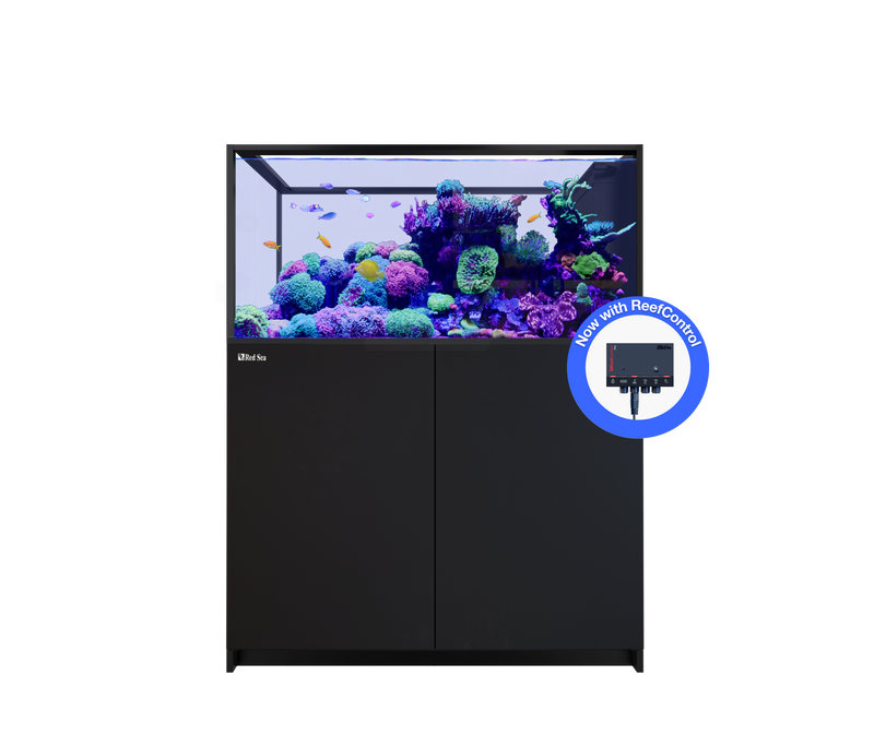 Red Sea REEFER Peninsula 500 G3+