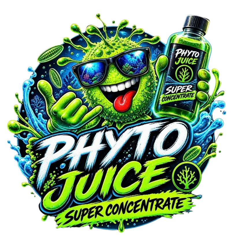 Ocean Juice Phyto Juice