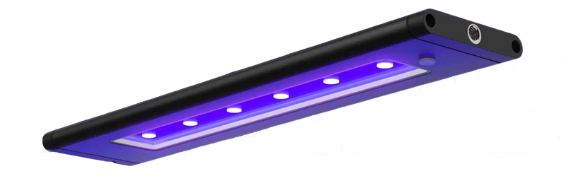 AI Blade Coral Glow - 39 Inch