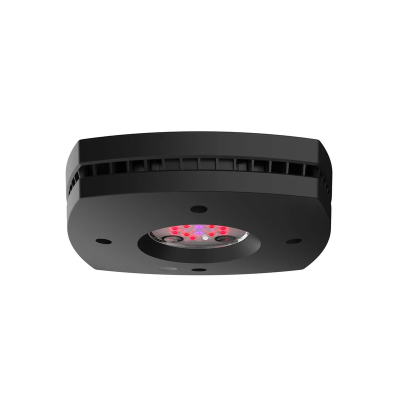Ai Prime 16 Fuge Led Light Black