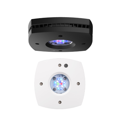 Prime 16HD reef LEDライト AI Prime 16HD Reef LED Lighting — Finest Aquatics