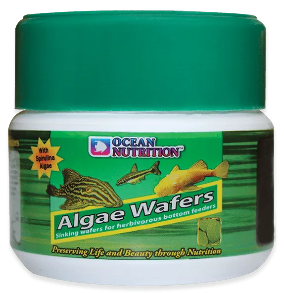 Ocean Nutrition Algae Wafers