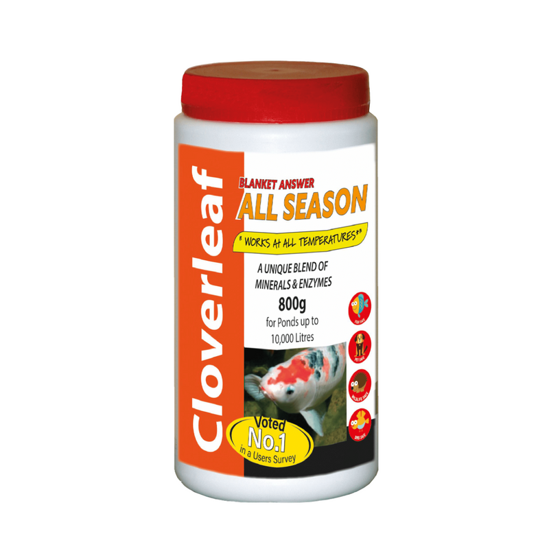 Cloverleaf Blanket Answer All Season