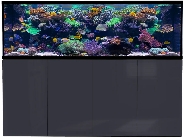 D-D Aqua-Pro Reef 2100-Anthracite Gloss