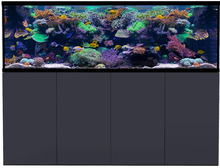 D-D Aqua-Pro Reef 2100-Anthracite Matt
