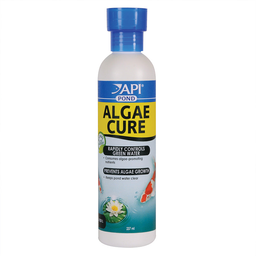API Pond Algae Cure 237ml — Finest Aquatics