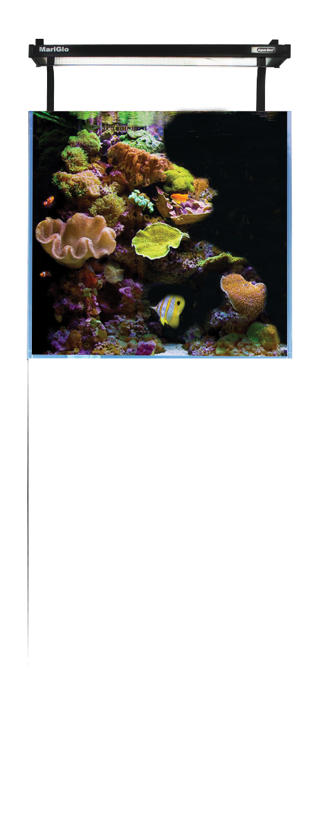Aqua One MiniReef 90 Black/White Marine Aquarium System