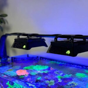 Aqua-Print Radion XR15 Shade