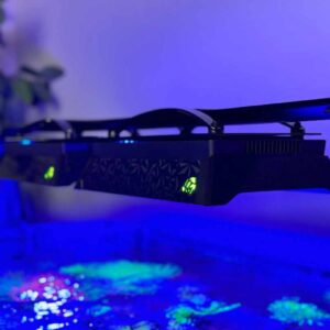 Aqua-Print Radion XR30 Shade