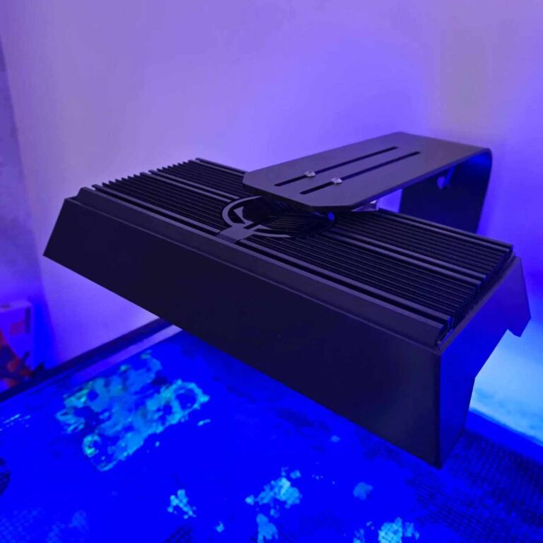 Aqua-Print Reef Flare M Shade