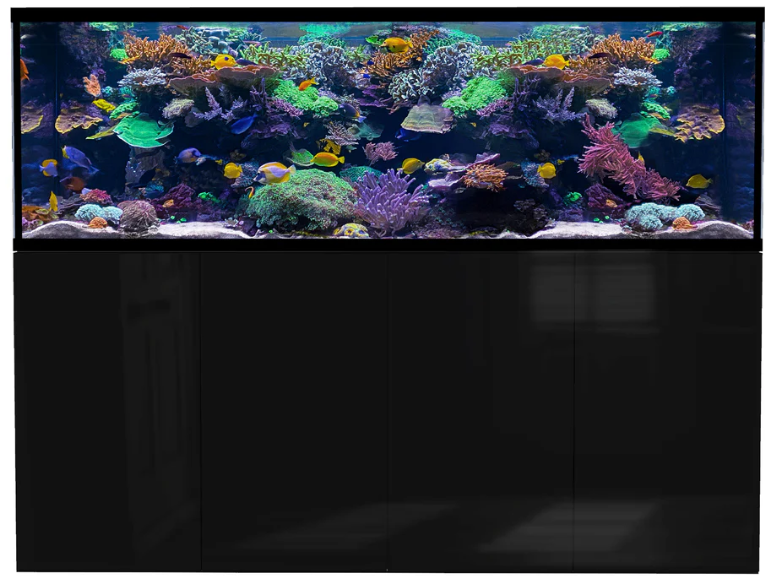D-D Aqua-Pro Reef 2100-Black Gloss