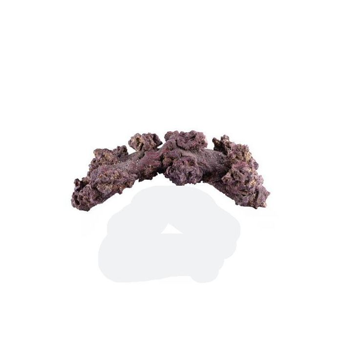 Caribsea Liferock Arch 12 Inch *Single*