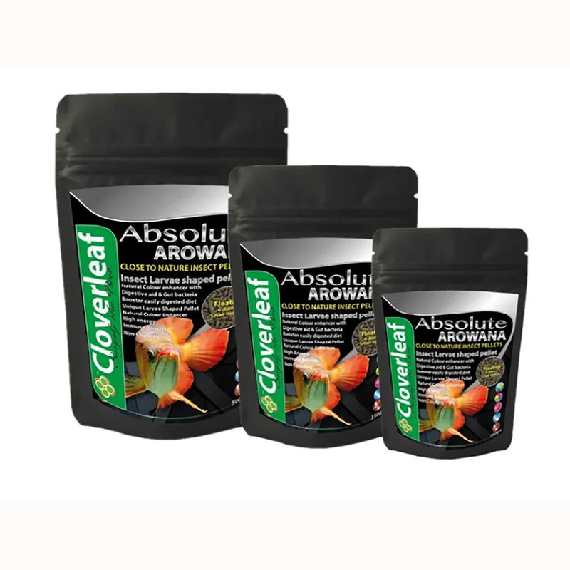 Cloverleaf 350g Arowana Bug Diet 6.0-8.0mm Floating Food