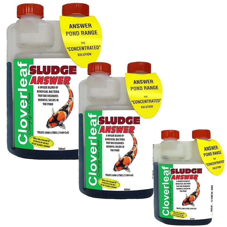 Cloverleaf Sludge Answer 500ml
