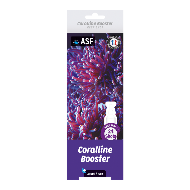 ASF Coralline Booster 480ml - 24