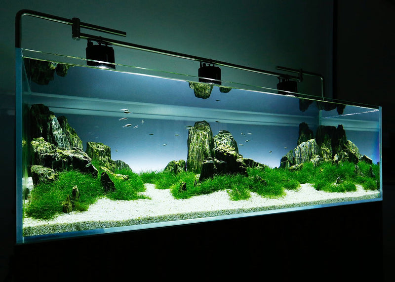 D-D Aqua-Pro Aquascaper 1500 Aquarium – Premium Colour Aquaframe Cabinet