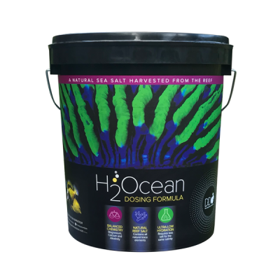 D-D H2Ocean Dosing Formula Reef Salt 23kg Bucket