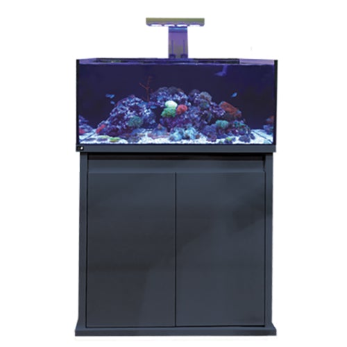 D-D Reef-Pro 900 Systems - Gloss Colours