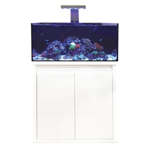 D-D Reef-Pro 900 Systems - Gloss Colours