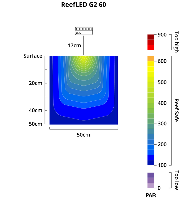 Red Sea ReedLED G2 60