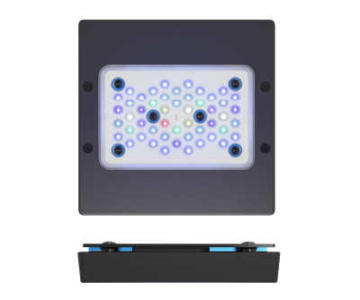 Ecotech Marine Radion XR15w G5 BLUE LED Light Unit