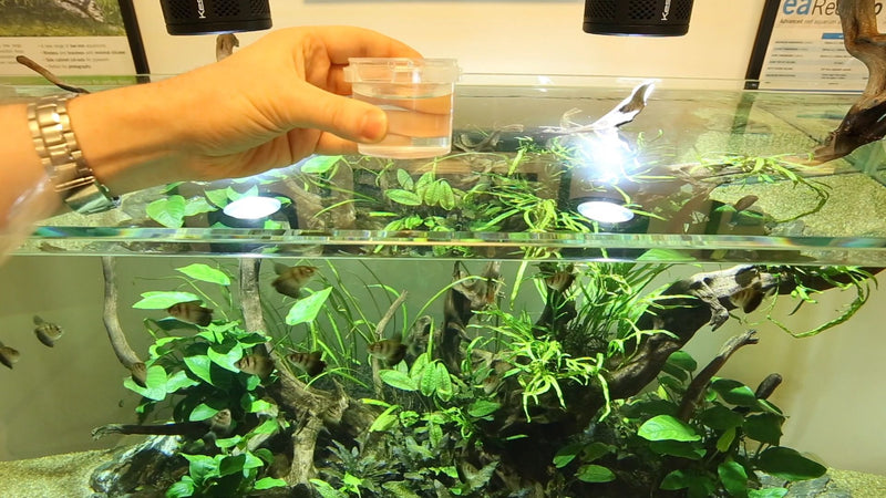Evolution Aqua Pure Aquarium Bomb